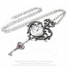 Temp De Sentiment Fob Watch Alchemy Gothic Necklace