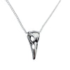 Silver Raven Skull Charm Necklace Chain and Earring Set