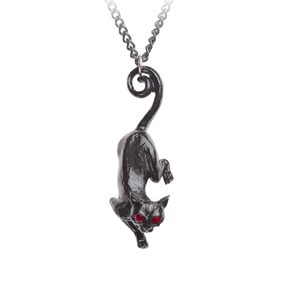 Black Cat Pendant (काली बिल्ली लॉकेट) | Buy Black Cat Locket | Cat  pendants, Black cat necklace, Pendant